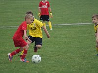 U7 U8 Turnier 13052017 (15)